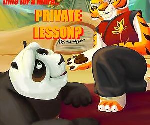 Kung Fu Panda- Private lesson