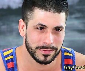 스페인 헝크 짜증 수탉 에 gaycastings