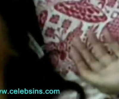 Indian Desi Anitha Fisted Climax