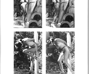 The Art of John Willie : Sophisticated Bondage 1946-1961 :..