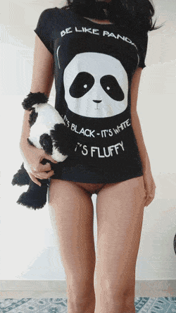 이 베 panda