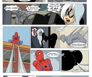 Spider-Man And Black Cat