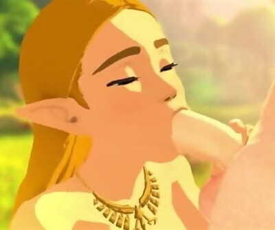 The Legend of Zelda SFM Compilation with Sounds